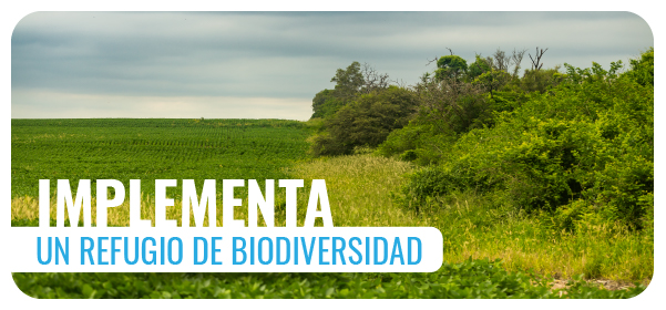 IMPLEMENTÁ UN REGUGIO DE BIODIVERSIDAD