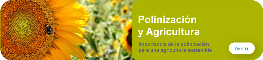 Polinización y Agricultura