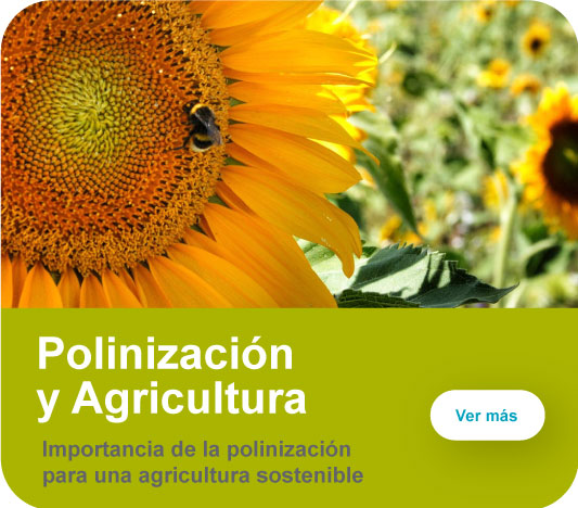 Polinización y Agricultura