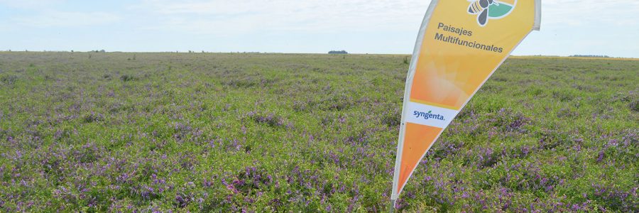 Conceptualizar la biodiversidad como un insumo agrícola
