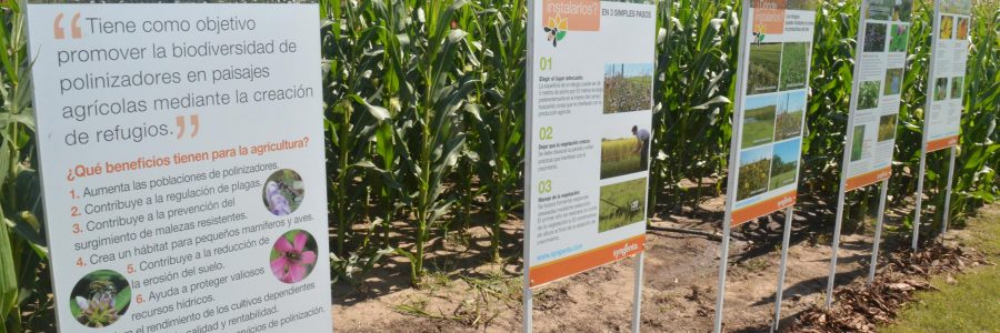 Paisajes Multifuncionales en Expoagro 2019