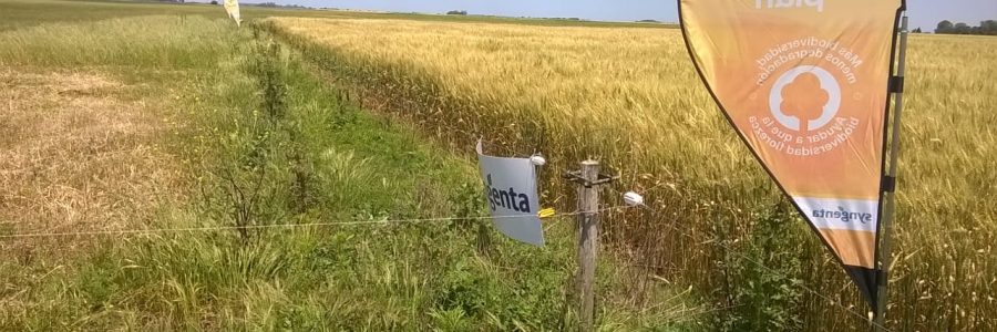 Syngenta trabaja junto con los productores para promover la biodiversidad
