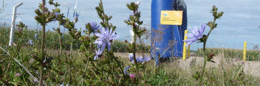 Un espacio para la biodiversidad en Exposyngenta Camet