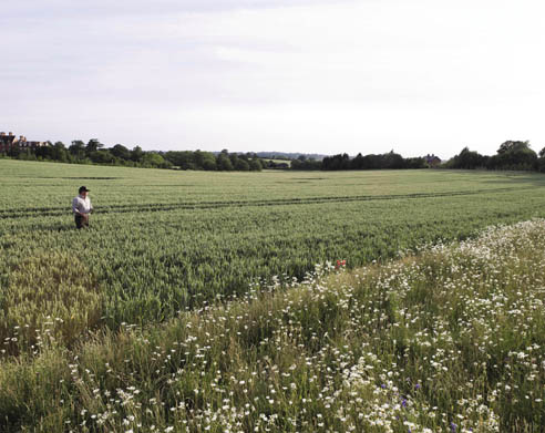Syngenta y AGD trabajan juntos por la biodiversidad en los campos argentinos