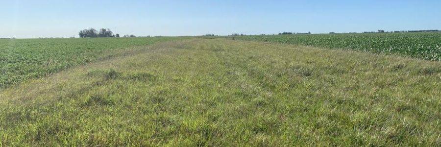 El campo y la academia, juntos para potenciar la biodiversidad pampeana