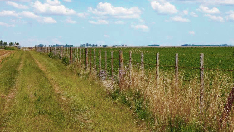 Biodiversidad al Borde