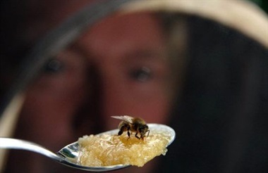 Un vaso con agua y azúcar para ayudar a las abejas