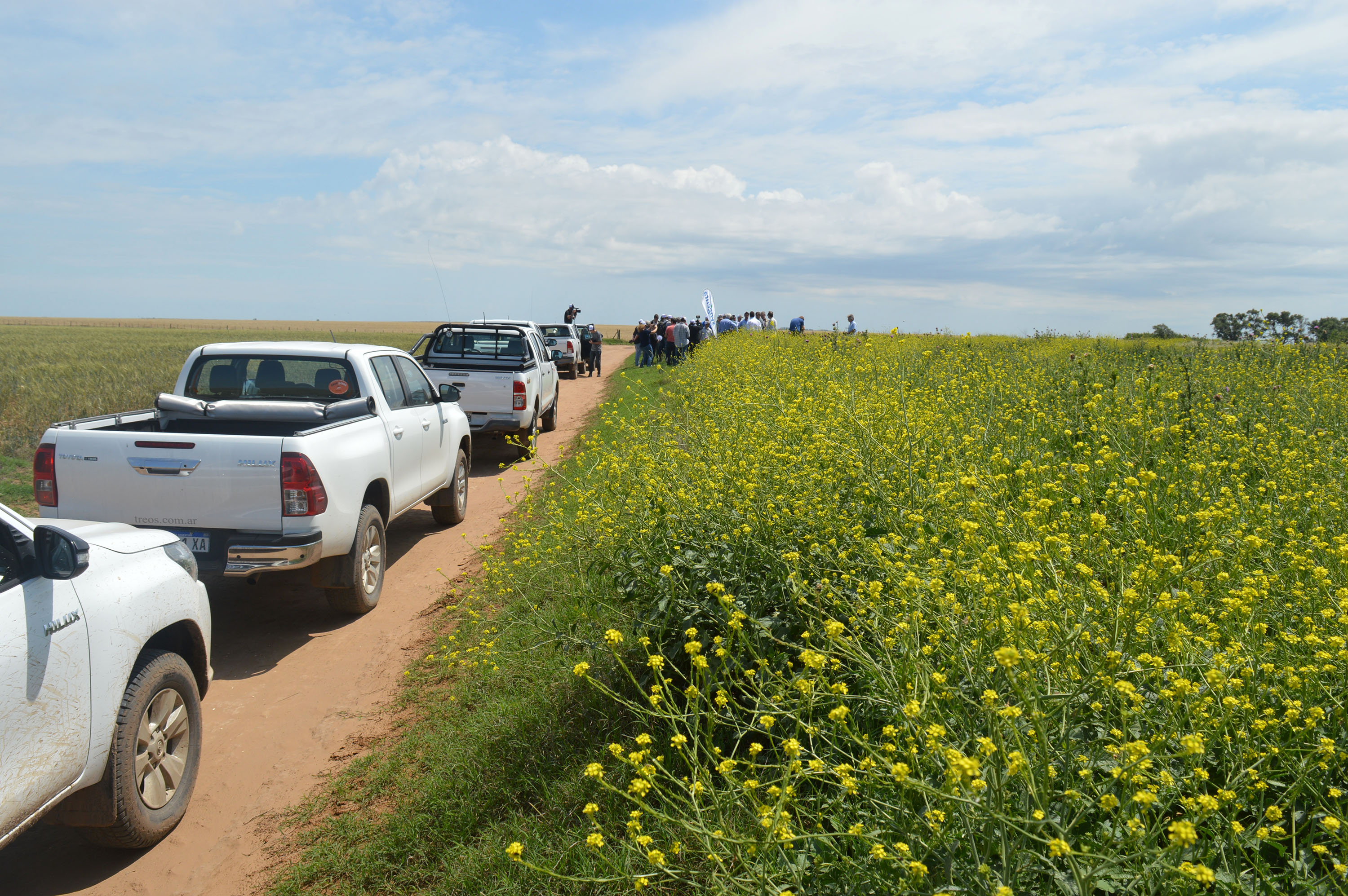 Cómo se implementó paisajes multifuncionales en campos de AGD