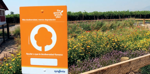 La biodiversidad como un factor clave en la producción agrícola