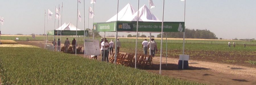 Paisajes multifuncionales en Camet: la riqueza de alambrados y caminos