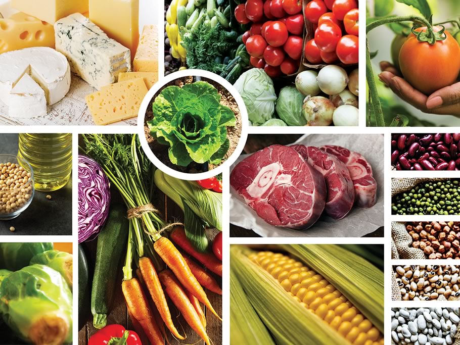 ¿Cuánto campo se ve en la comida?