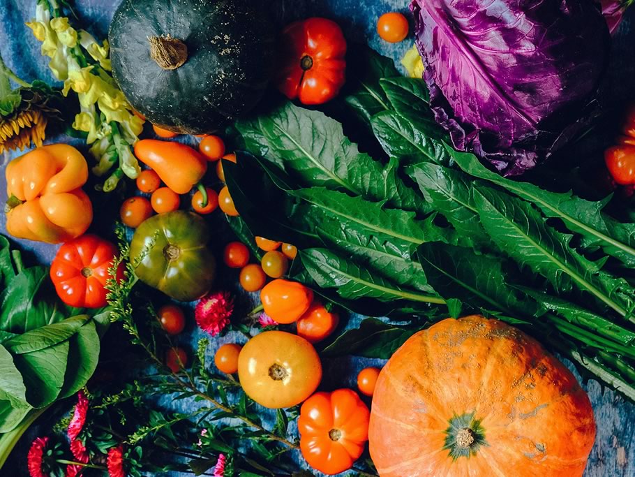 Día Mundial de la Alimentación