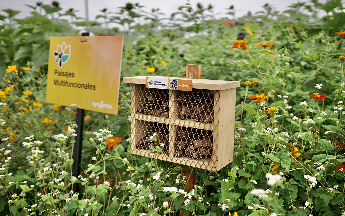 Paisajes Multifuncionales estuvo presente en la novena edición de la Expo Syngenta Paraguay