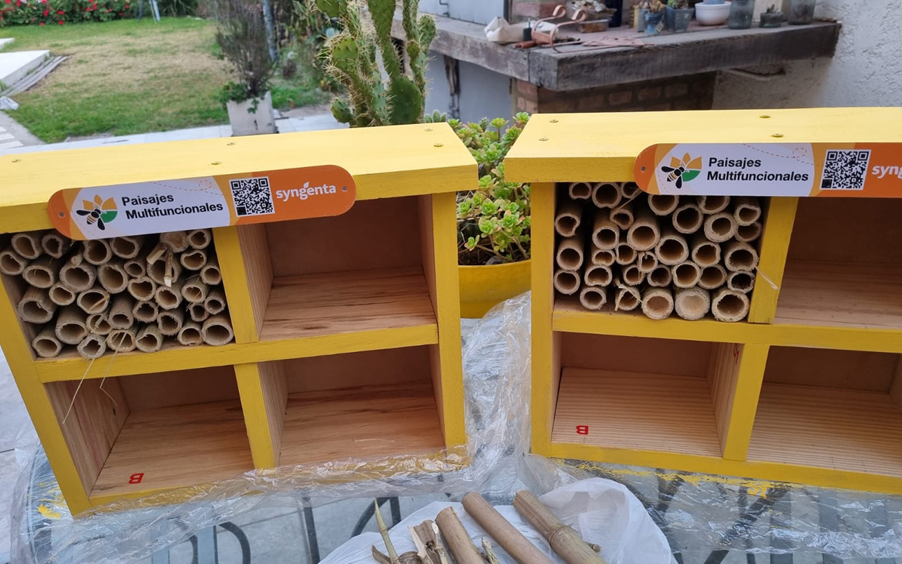 Rotary Club inició la instalación de “Hoteles para insectos”