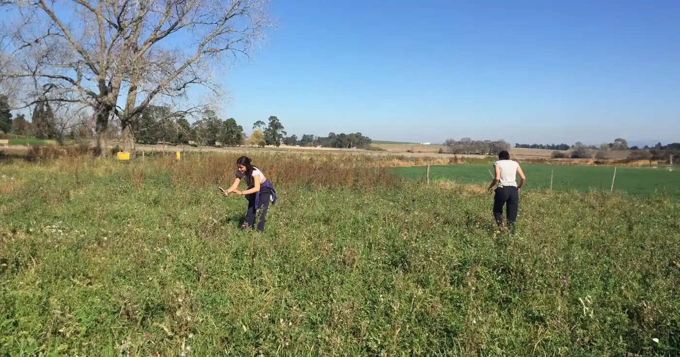 Proyecto escolar basado en el aprovechamiento de zonas en desuso para convertirlas en paisajes de biodiversidad